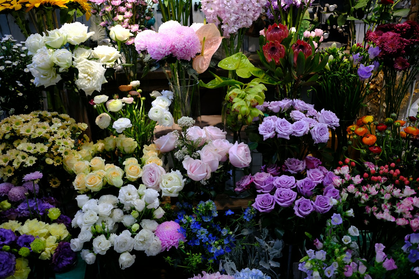Eine dichte Anordnung von verschiedenen frischen Rosen und bunten Frühlingsblumen.